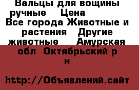 Вальцы для вощины ручные  › Цена ­ 10 000 - Все города Животные и растения » Другие животные   . Амурская обл.,Октябрьский р-н